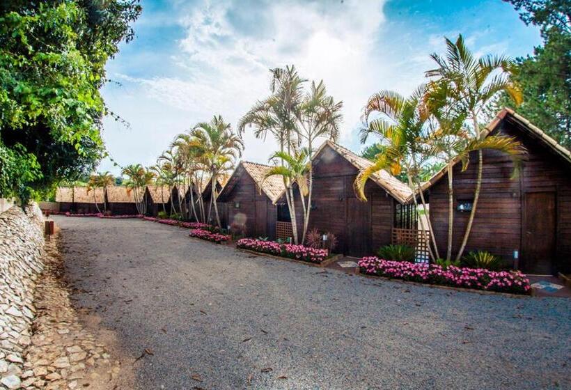 スタンダードバンガロー, Park Hotel Modelo