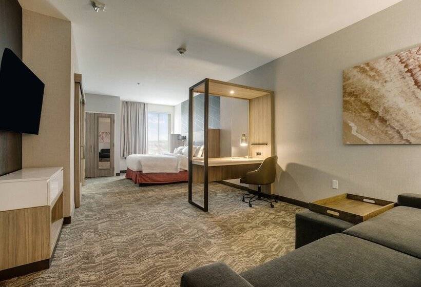 Люкс Адаптированный для Инвалидов, Springhill Suites By Marriott Stillwater