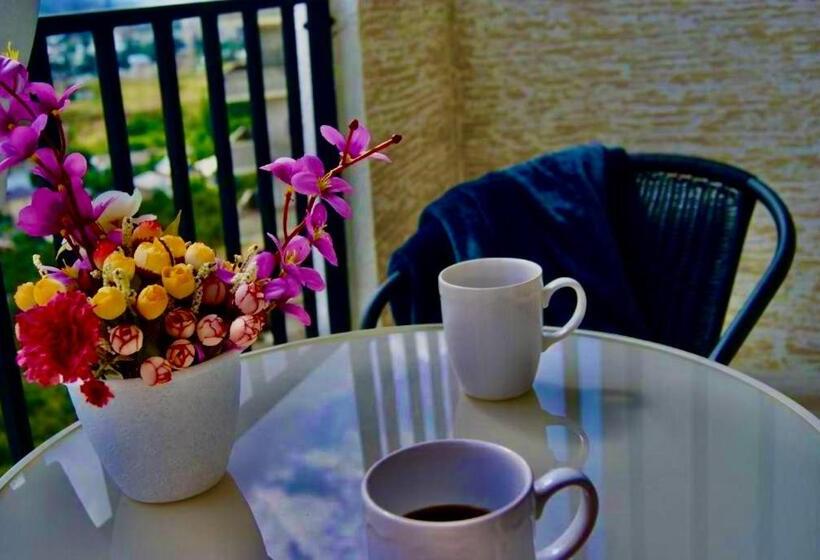 آپارتمان سوپریور 1 خوابه, Vazi Apart