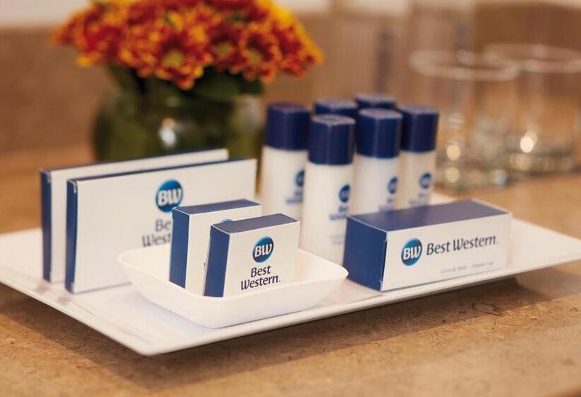 스탠다드 룸, Best Western Puerto Gaitan