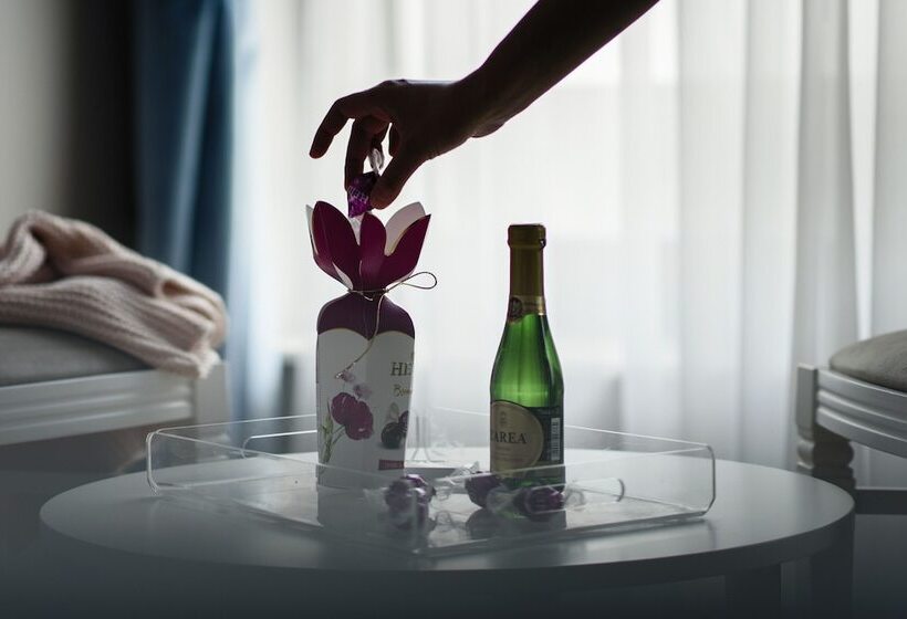 اتاق سوپریور, New Era Hotel Old Town Bucharest Parking With Fee Nearby