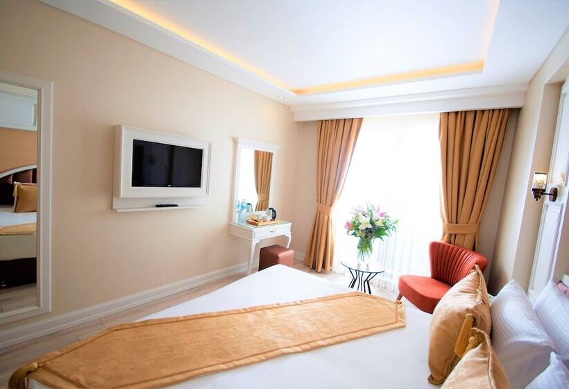 スタンダードルーム, Boss Hotel Sultanahmet