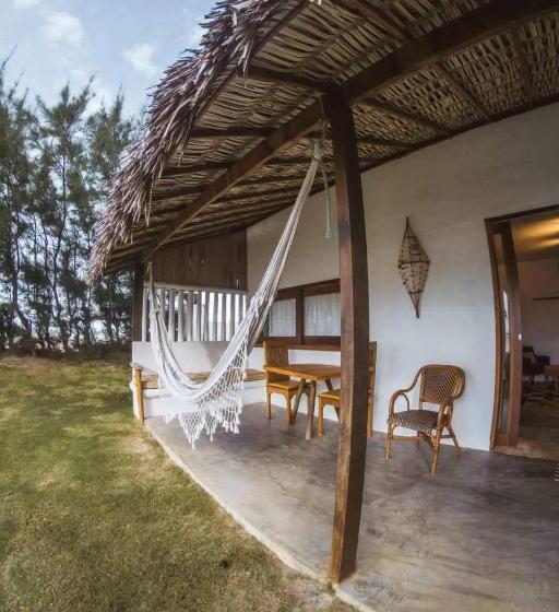 Номер Стандарт, Zebra Boutique