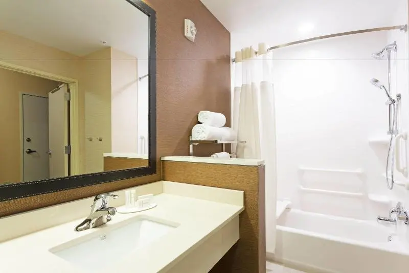 اتاق استاندارد با تخت بزرگ, Fairfield Inn & Suites By Marriott Fort Lauderdale Downtown/las Olas