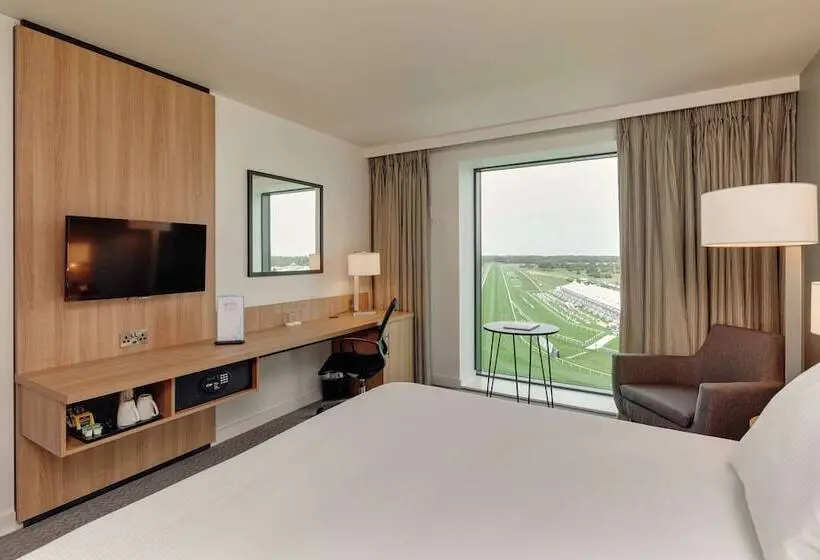 シングルデラックスルーム, Hilton Garden Inn Doncaster Racecourse