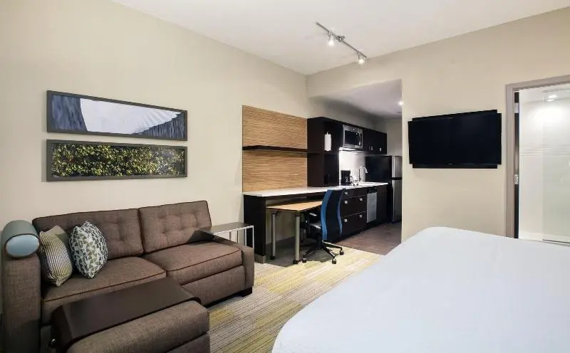 Suite King Bed