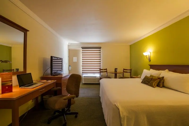 庭の見えるジュニアスイート, Indigo Phuket Patong, An Ihg