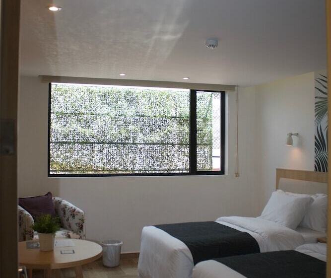 חדר סופריור, Kaia