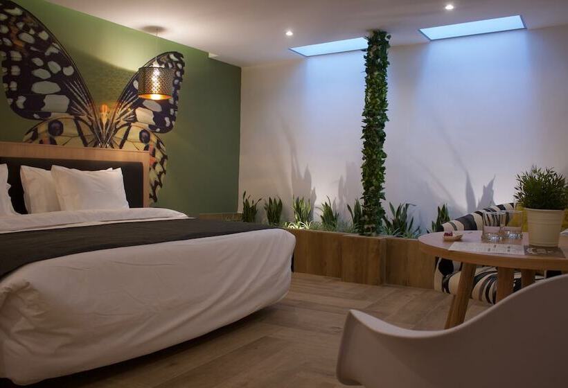 חדר סופריור, Kaia