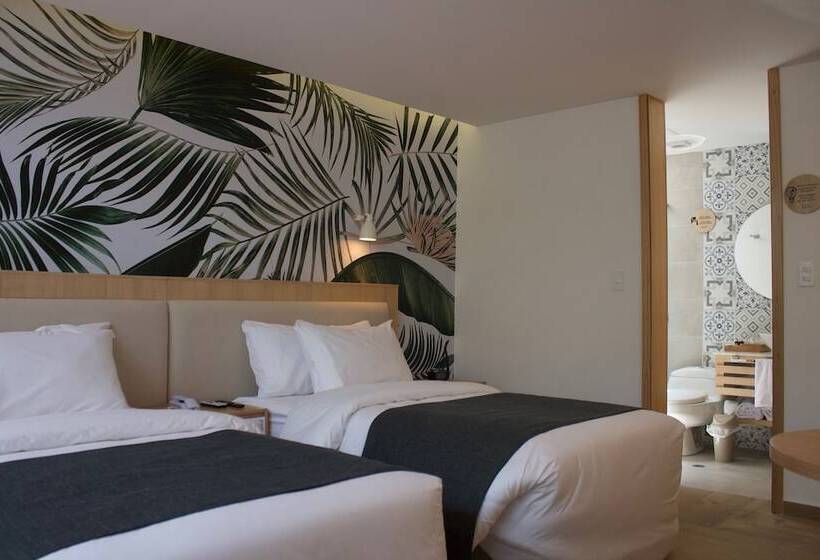 חדר סופריור, Kaia