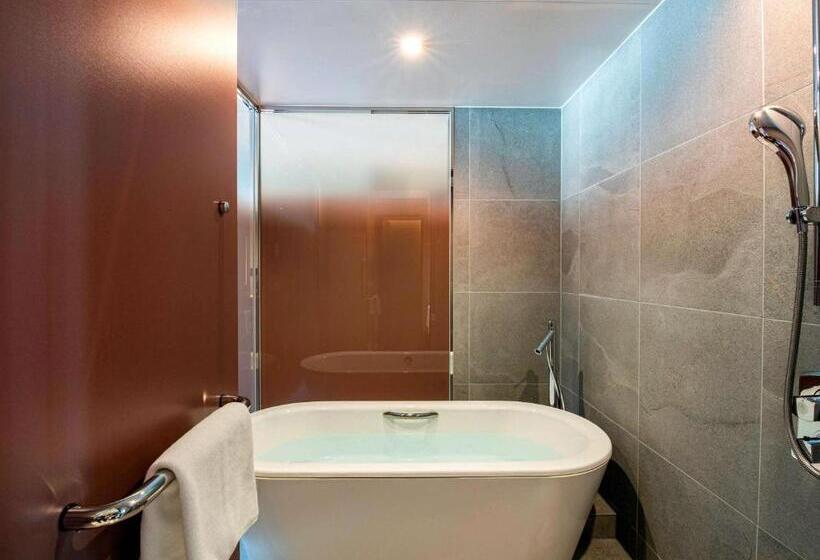 Люкс Superior, Pullman Tokyo Tamachi