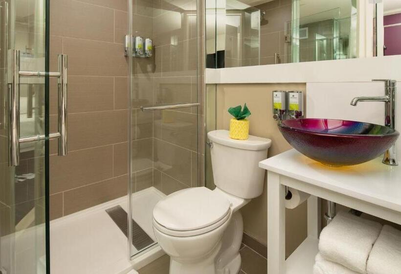 스탠다드 테라스 룸, Staypineapple, An Artful Hotel, Midtown New York