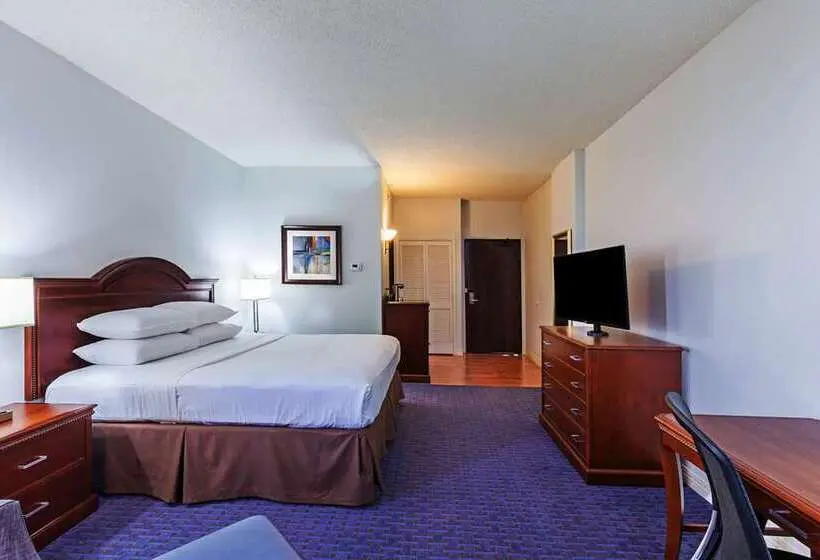 Standard Room King Size Bed