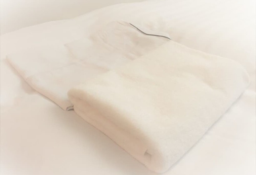 غرفة إقتصادية, A Gate Hotel Hakodate