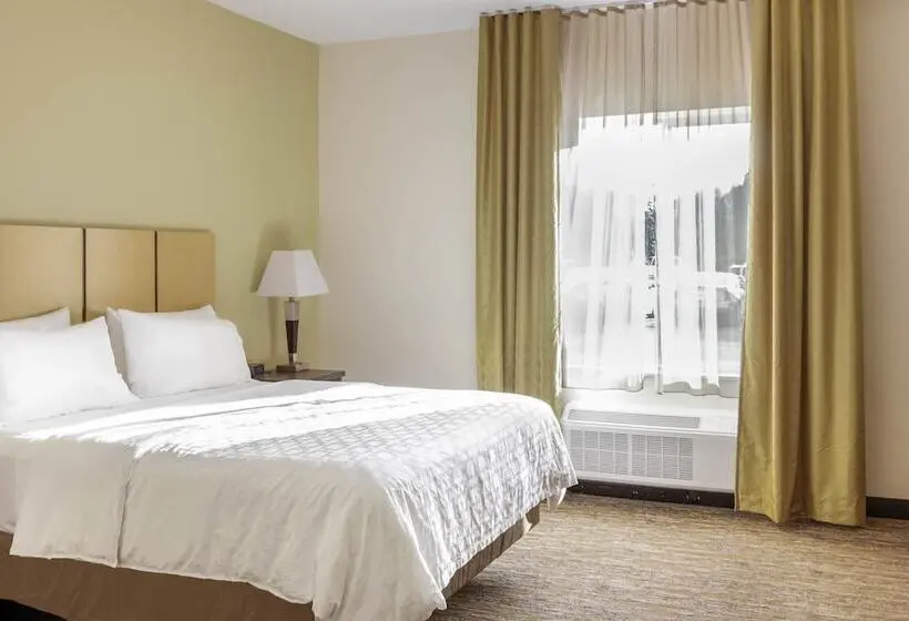身障者適用スイートルーム, Candlewood Suites Brighton, An Ihg