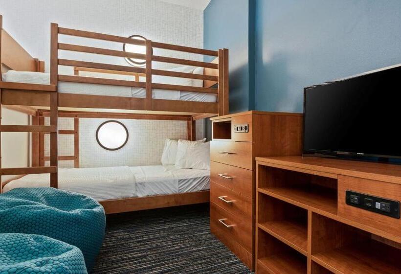 جناح سرير كينج, Holiday Inn Express & Suites Orlando  Lake Buena Vista, An Ihg