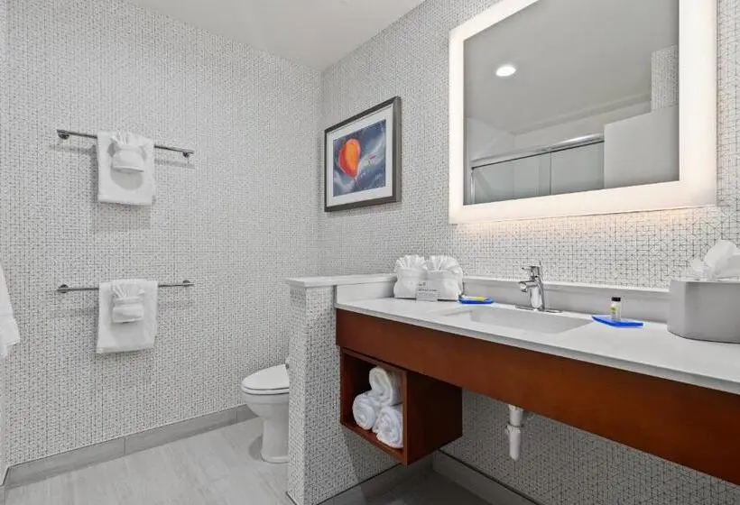 身障者適用スタンダードルーム, Holiday Inn Express & Suites Orlando  Lake Buena Vista, An Ihg