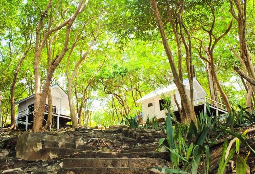 Quarto standard vista mar, Sangthain Hills