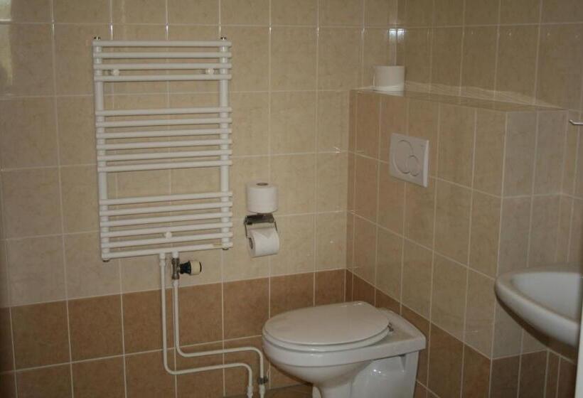 غرفة إقتصادية, Budget Hotel Vrouwenpolder