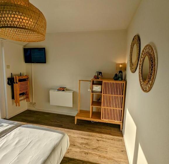 غرفة إقتصادية, Budget Hotel Vrouwenpolder