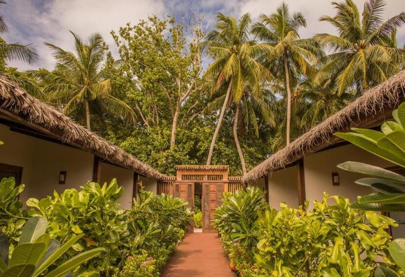 Habitació Superior, Plumeria Maldives