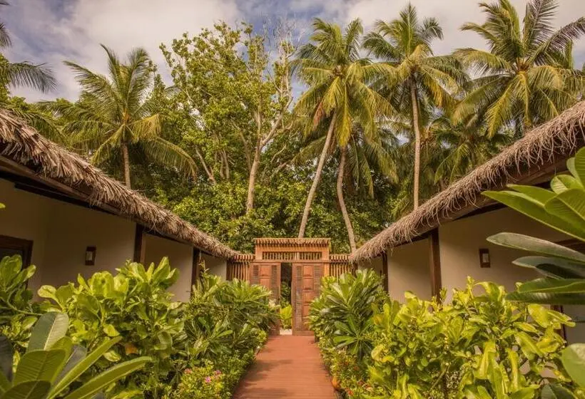 Habitació Superior, Plumeria Maldives
