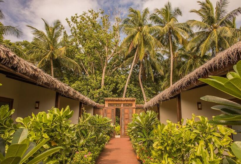 اتاق لوکس, Plumeria Maldives