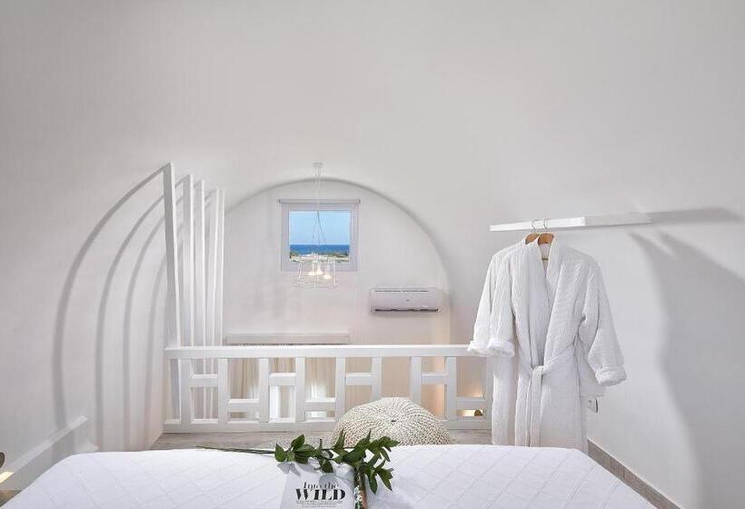 복층 룸, Petri Suites