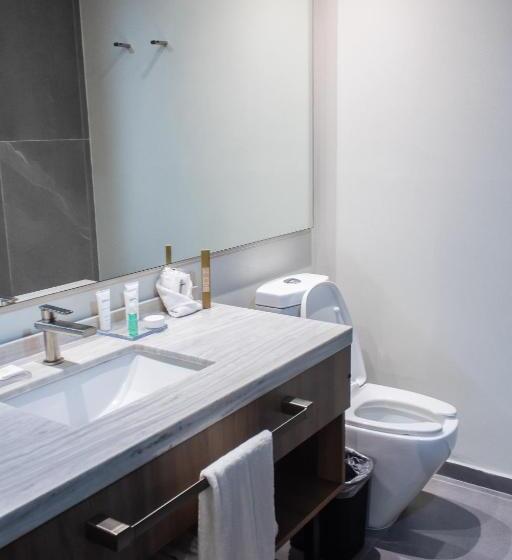 Стандартный Номер Кровать Кинг, Radisson Hotel Monterrey San Jeronimo