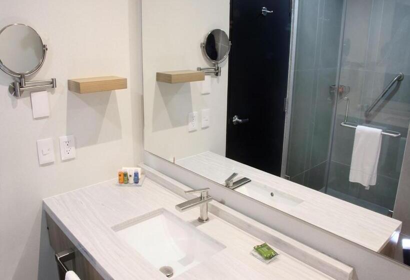 جناح ديلوكس سرير كينج, Radisson Hotel Monterrey San Jeronimo