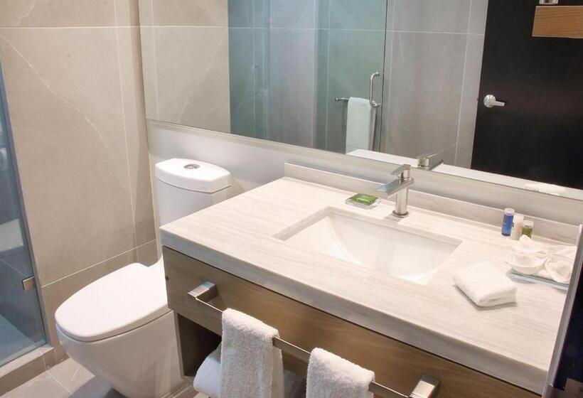 Люкс Премиум, Radisson Hotel Monterrey San Jeronimo