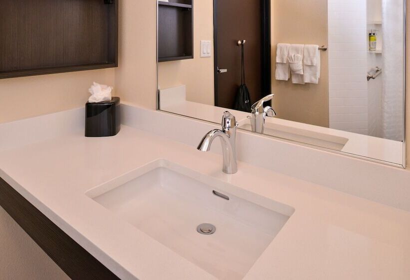 スタンダードスタジオ, Candlewood Suites   Austin Airport, An Ihg