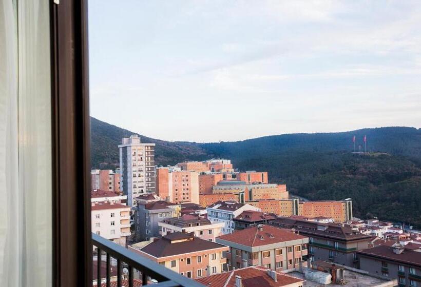 スイート, Cityloft 161