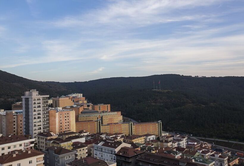 スタンダードルーム, Cityloft 161