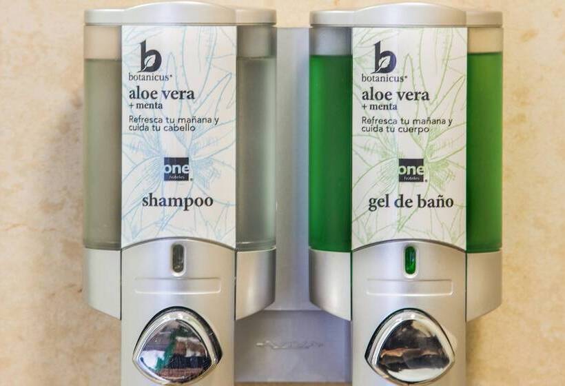 高级大房间, One Tijuana Otay