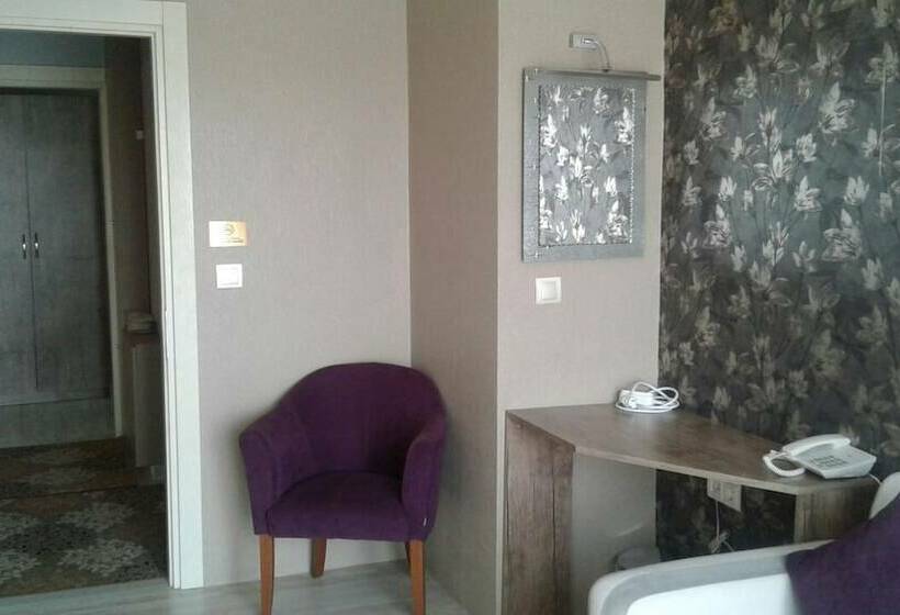 スタンダードルーム, Udi