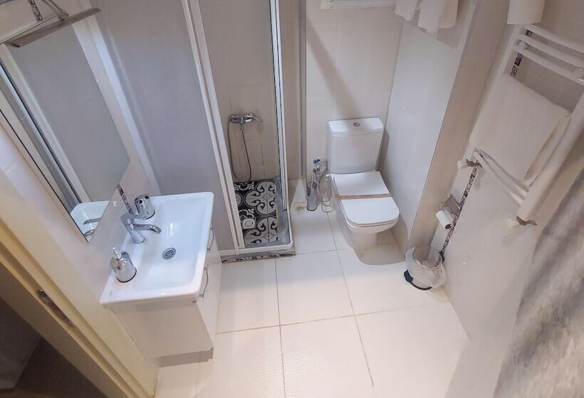 テラス付きスタンダードルーム, Udi