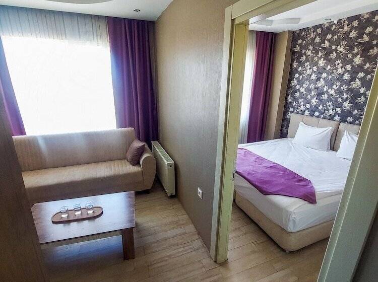 スタンダードルーム, Udi