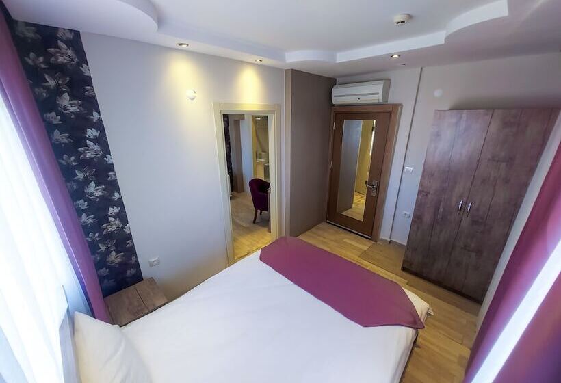 スタンダードルーム, Udi