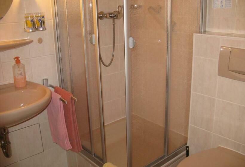 غرفة قياسية فردية, Alpenhotel Allgäu