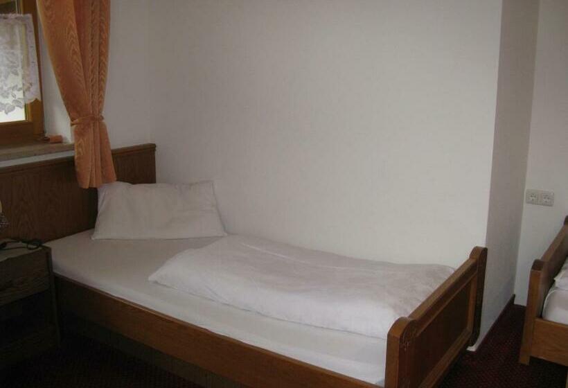 غرفة قياسية فردية, Alpenhotel Allgäu