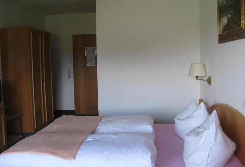 غرفة قياسية, Alpenhotel Allgäu
