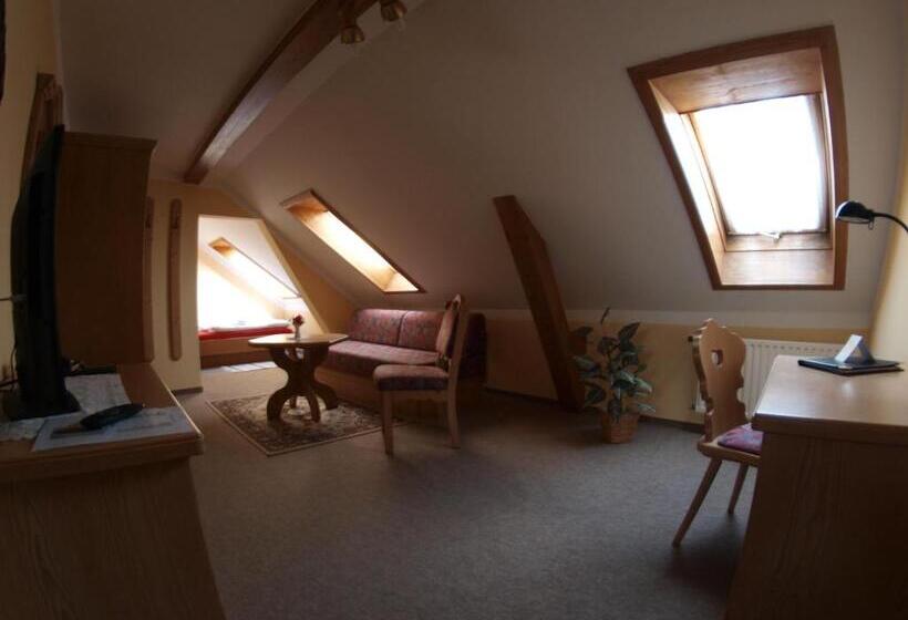 اتاق استاندارد یک نفره, Gasthof Zur Schweiz