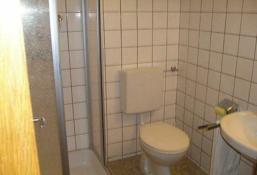 اتاق استاندارد, Frühstückspension Wagrain Viktoria Flasch