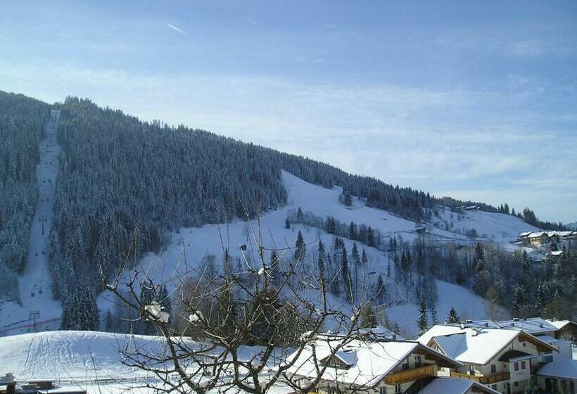 اتاق استاندارد یک نفره, Frühstückspension Wagrain Viktoria Flasch