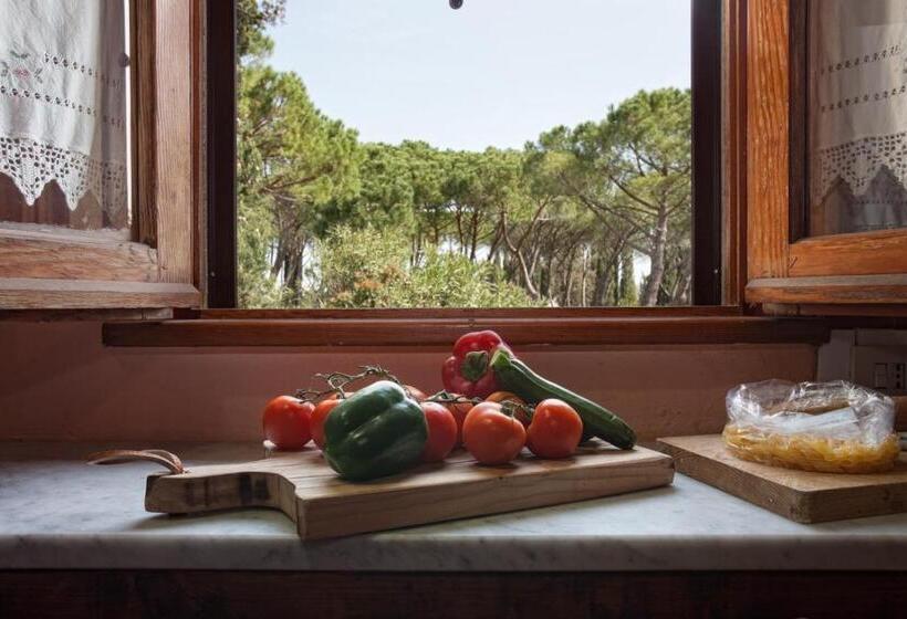 Апартаменты 1 Спальня, Agriturismo Pieve Sprenna