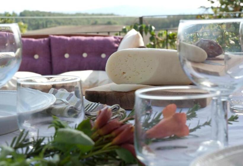 带1个卧室的公寓, Agriturismo Pieve Sprenna