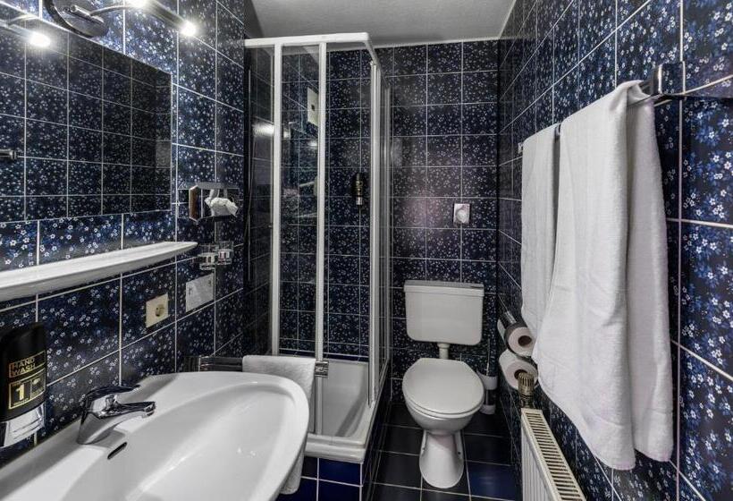 חדר דלוקס יחיד, Sonnenstube Hagnau