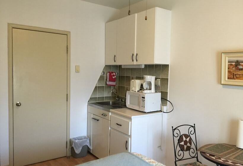 ダブルベッドのスタンダードスタジオ, Auberge La Veranda