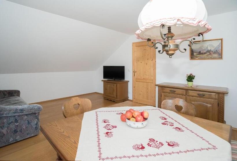 شقة غرفة واحدة, Haus Kendlinger